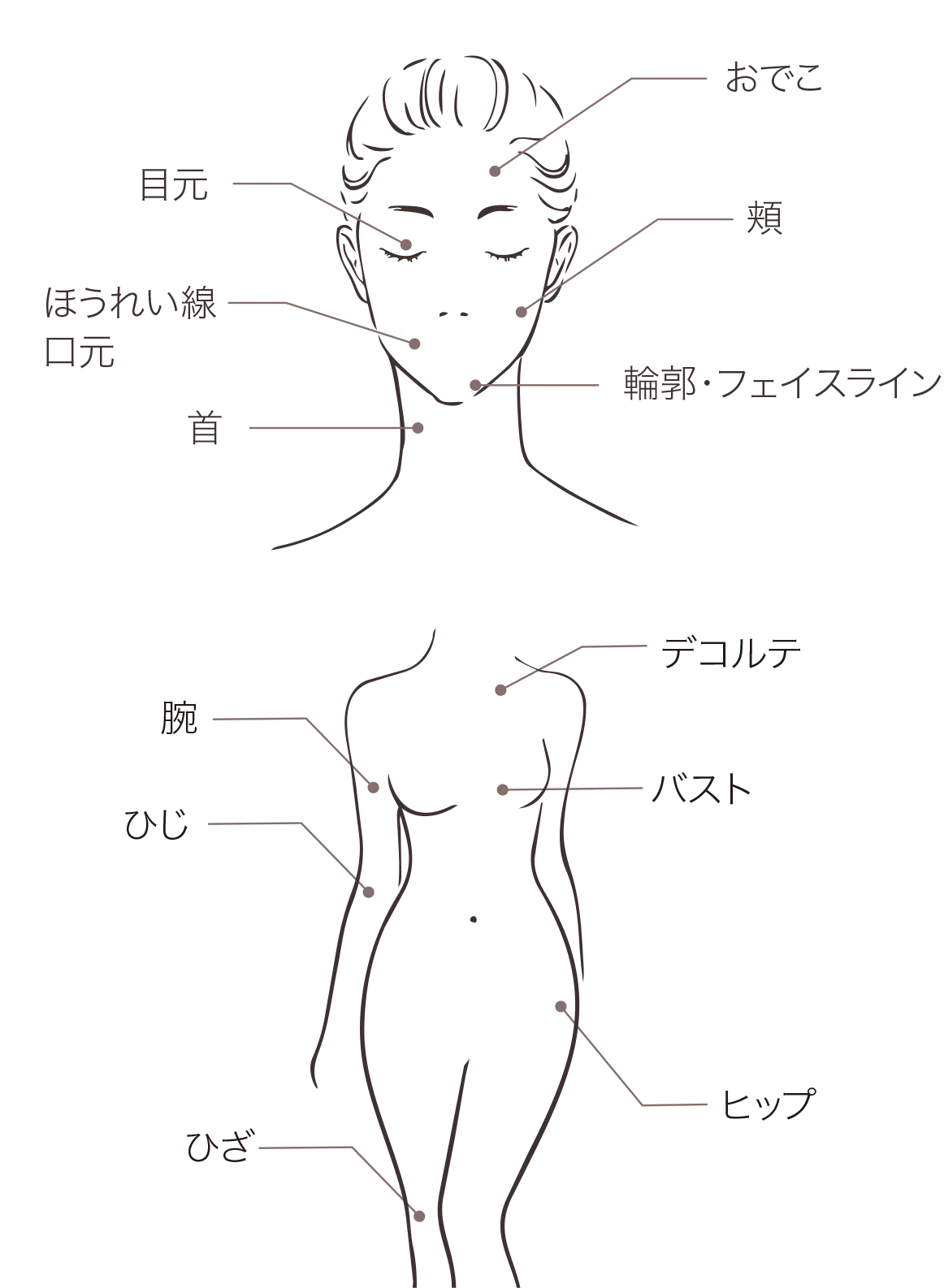 利用部位例 おでこ/目元/ほうれい線・口元/頬輪郭・フェイスライン/首/デコルテ/腕/ひじ/バスト/ひざ/ヒップなど